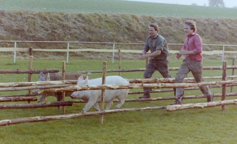 1981-Schweinerennen-I-Training-01