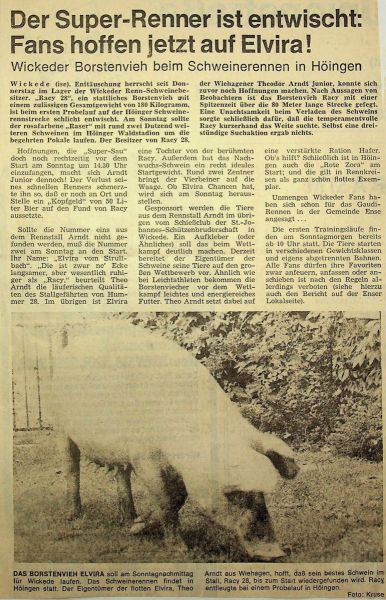 1981-Schweinerennen-I-06-Sau-bei-Probelauf-entwischt