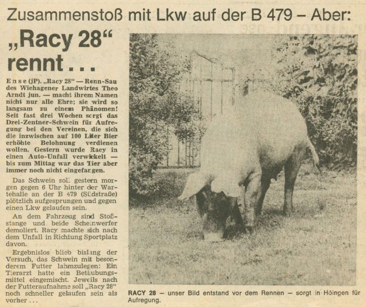 1981-Schweinerennen-I-25-Racy-28-angefahren