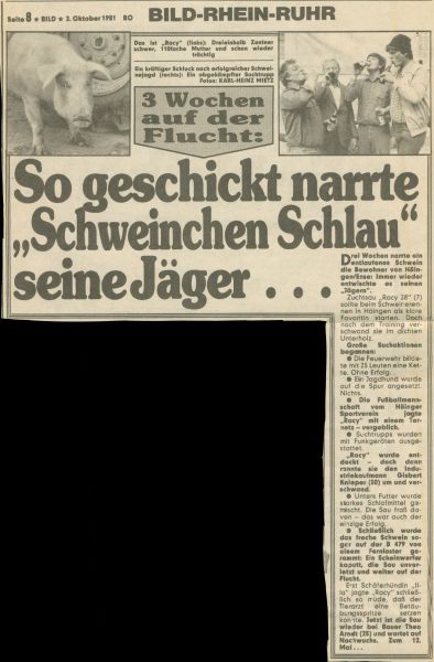 1981-Schweinerennen-I-26-Racy-28-Bildzeitung