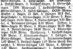 1930-Clubkampf-gegen-TuS-03-Hagen