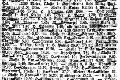 1931-Leichtathletik-Vereinsmeisterschaften