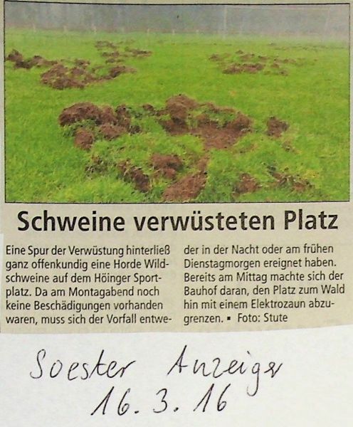 2016-03-16-Schweine-verwuesten-den-Platz-01