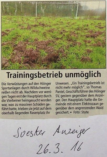 2016-03-26-Schweine-verwuesten-den-Platz-02